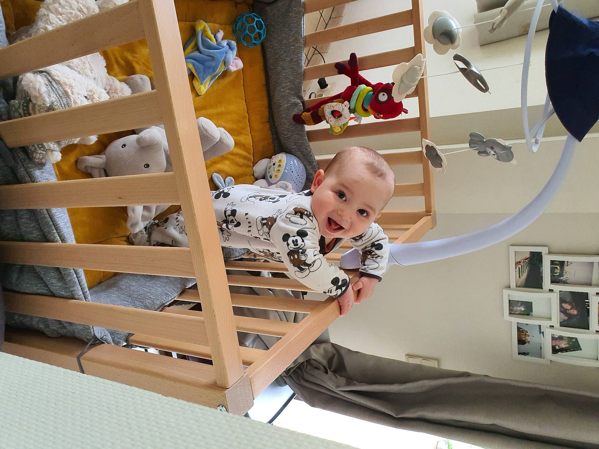 Tobias participe au concours pour gagner de l'argent avec cette photo : baby, baby_products, baby_safety, baby_toddler_clothing, baby_toys, bed, child, comfort, cradle, hardwood, house, infant_bed, linens, nursery, person, product, room, shelving, toddler, toy