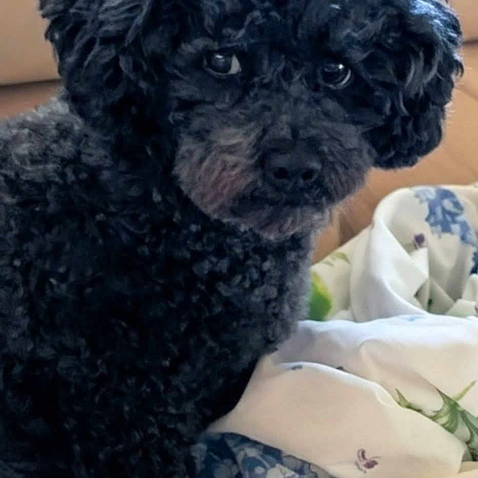 Walter