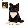 animal, app_interface, black_cat, cat, cute, feline, indoor, pet, plush_toy, portrait, real_cat_inset, sitting, soft_toy, stuffed_animal, text, toy, tuxedo_pattern, whiskers, white_background, yellow_eyes