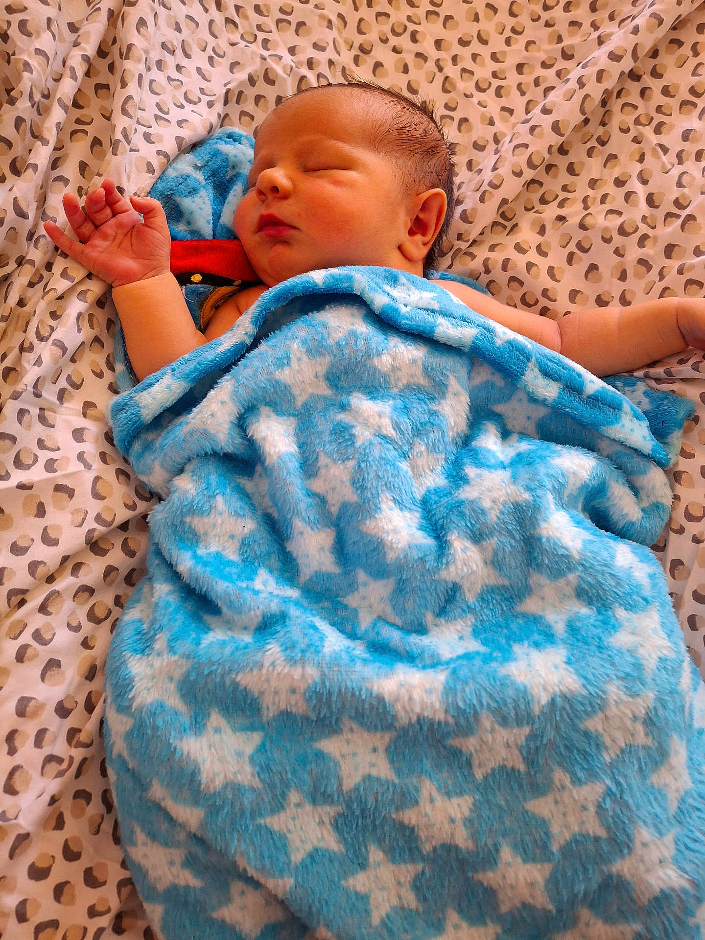 Altris joined the competition — help win amazing prizes! newborn, baby, blanket, blue, stars, sleeping, infant, bedspread, leopard_print, soft, cute, peaceful, resting, child, wrapped, cozy, face, skin, head, hand