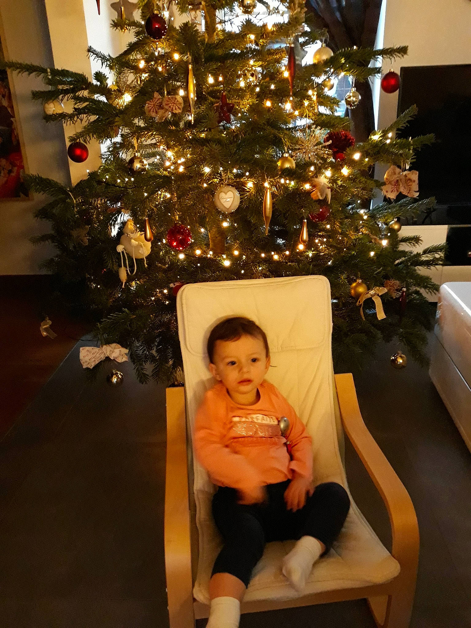 Elysa a rejoint le concours — aidez-le/la à gagner de superbes lots ! christmas, christmas_decoration, christmas_eve, christmas_lights, christmas_ornament, christmas_tree, event, fun, holiday, interior_design, leg, leisure, person, photography, plant, room, sitting, tree, vacation, woody_plant