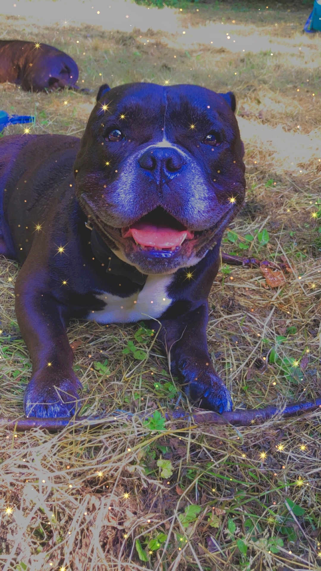 Tyson