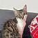 Alvin