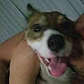 Louis S.