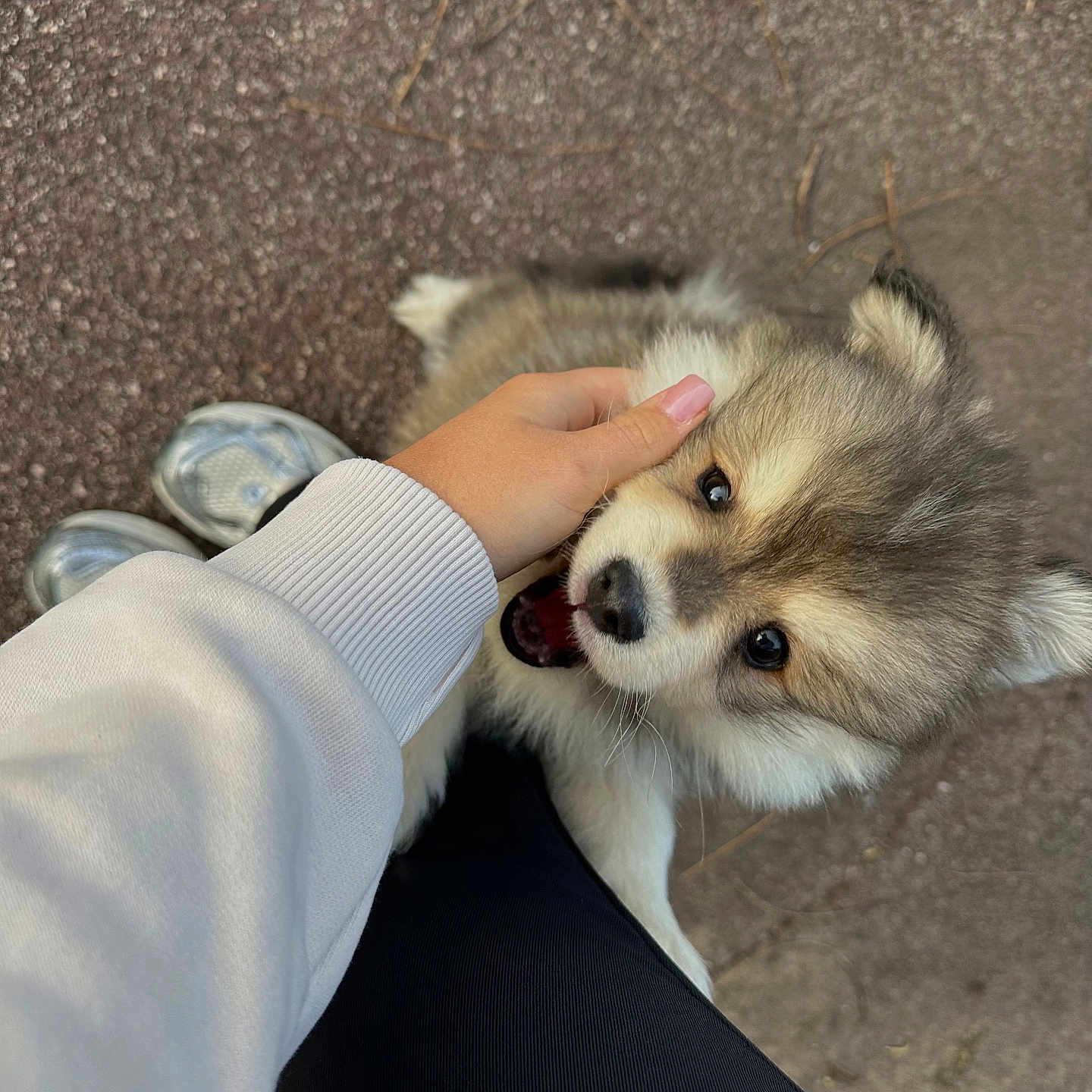 Asko