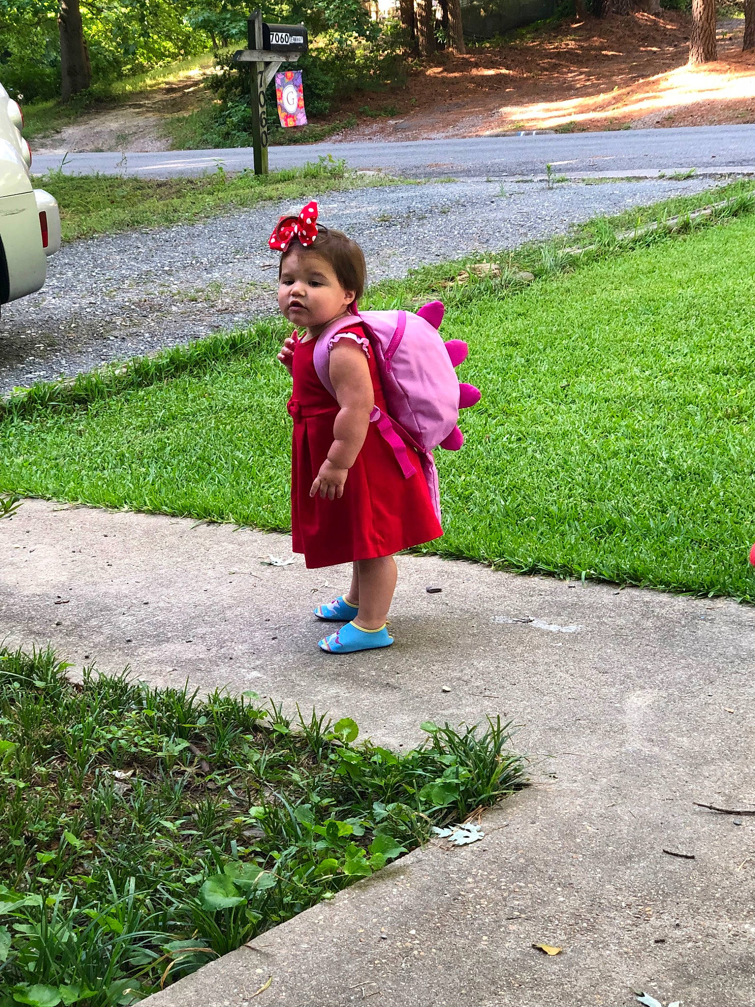 Viola is registered to the contest to win money with this photo: botany, child, dress, fun, garden, grass, grass_family, leaf, leisure, park, person, pink, plant, play, recreation, sidewalk, summer, toddler, tree, vacation