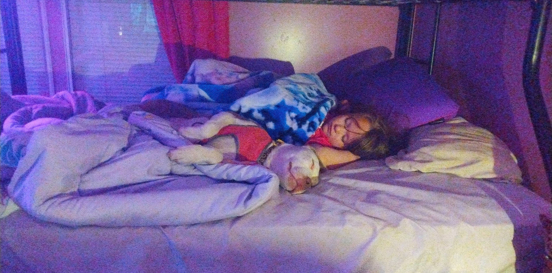 Victoria is registered to the contest to win money with this photo: bed, bed_sheet, bedding, bedroom, bedtime, cloud, comfort, curtain, electric_blue, flesh, flooring, linens, magenta, nap, person, pillow, purple, room, sitting, textile