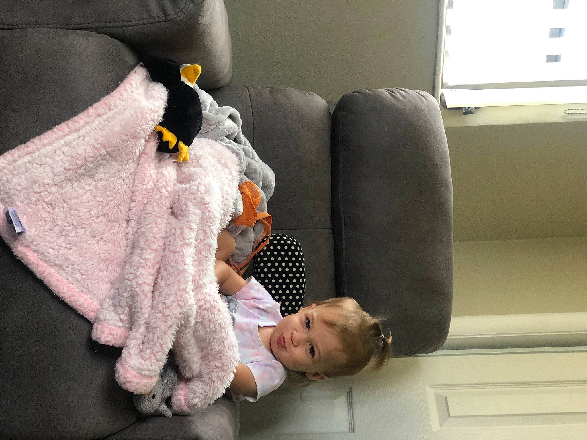 Harlee is registered to the contest to win money with this photo: child, comfort, hand, leg, person, room, toddler