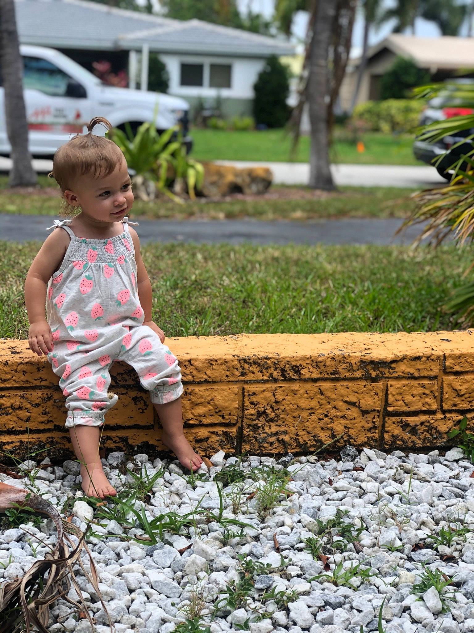 Harlee joined the competition — help win amazing prizes! botany, child, dress, flower, garden, grass, groundcover, leaf, leg, people, person, photography, plant, play, shrub, spring, summer, toddler, tree, vacation