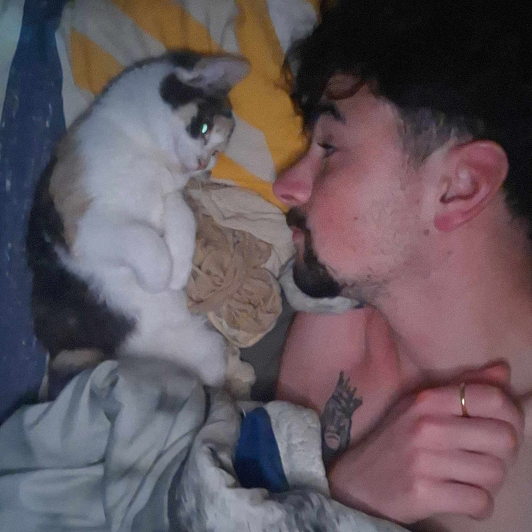 Ariel participe au concours pour gagner de l'argent avec cette photo : animal, bed, blanket, cat, closeup, cozy, curled_up, face, fur, human, indoor, intimate, man, pet, portrait, quiet, resting, ring, sleeping, tattoo