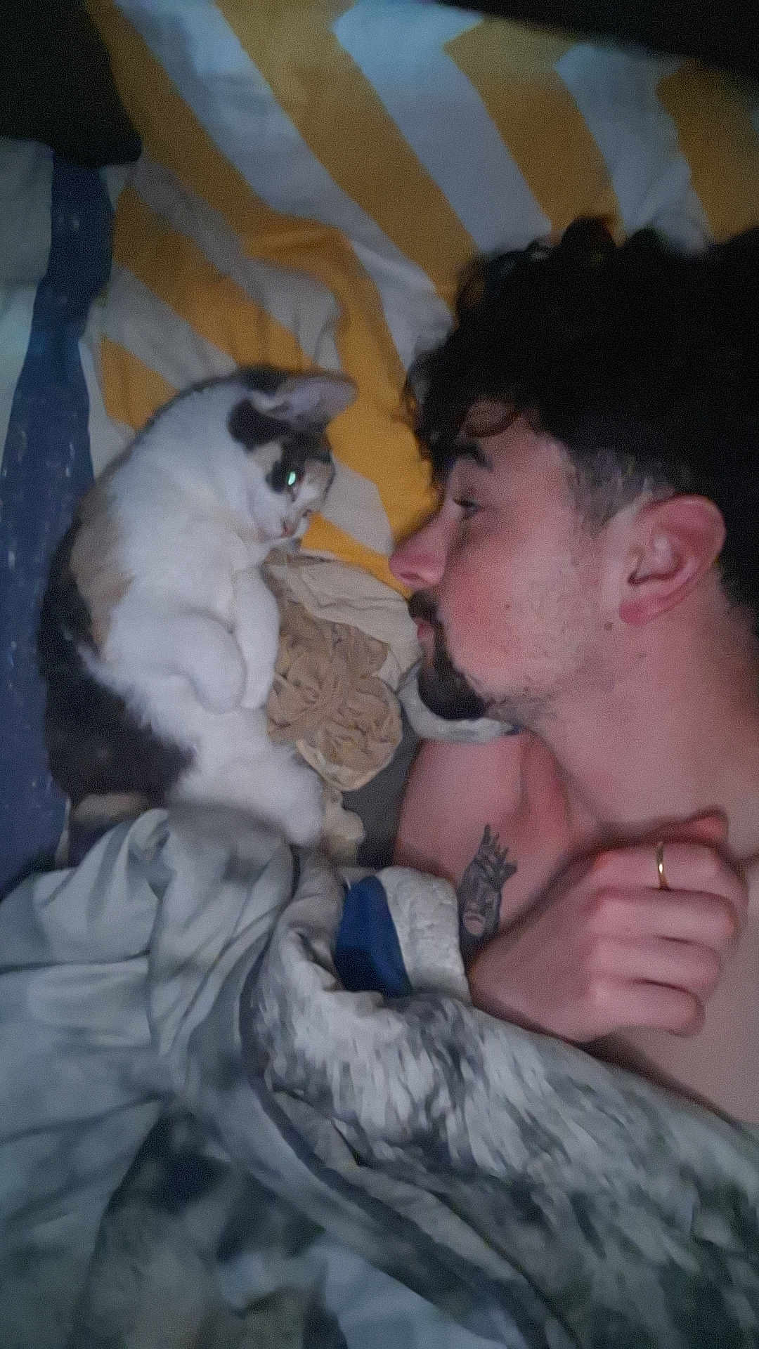 Ariel participe au concours pour gagner de l'argent avec cette photo : man, cat, bed, blanket, tattoo, ring, face, fur, sleeping, resting, curled_up, indoor, human, pet, animal, cozy, intimate, closeup, portrait, quiet