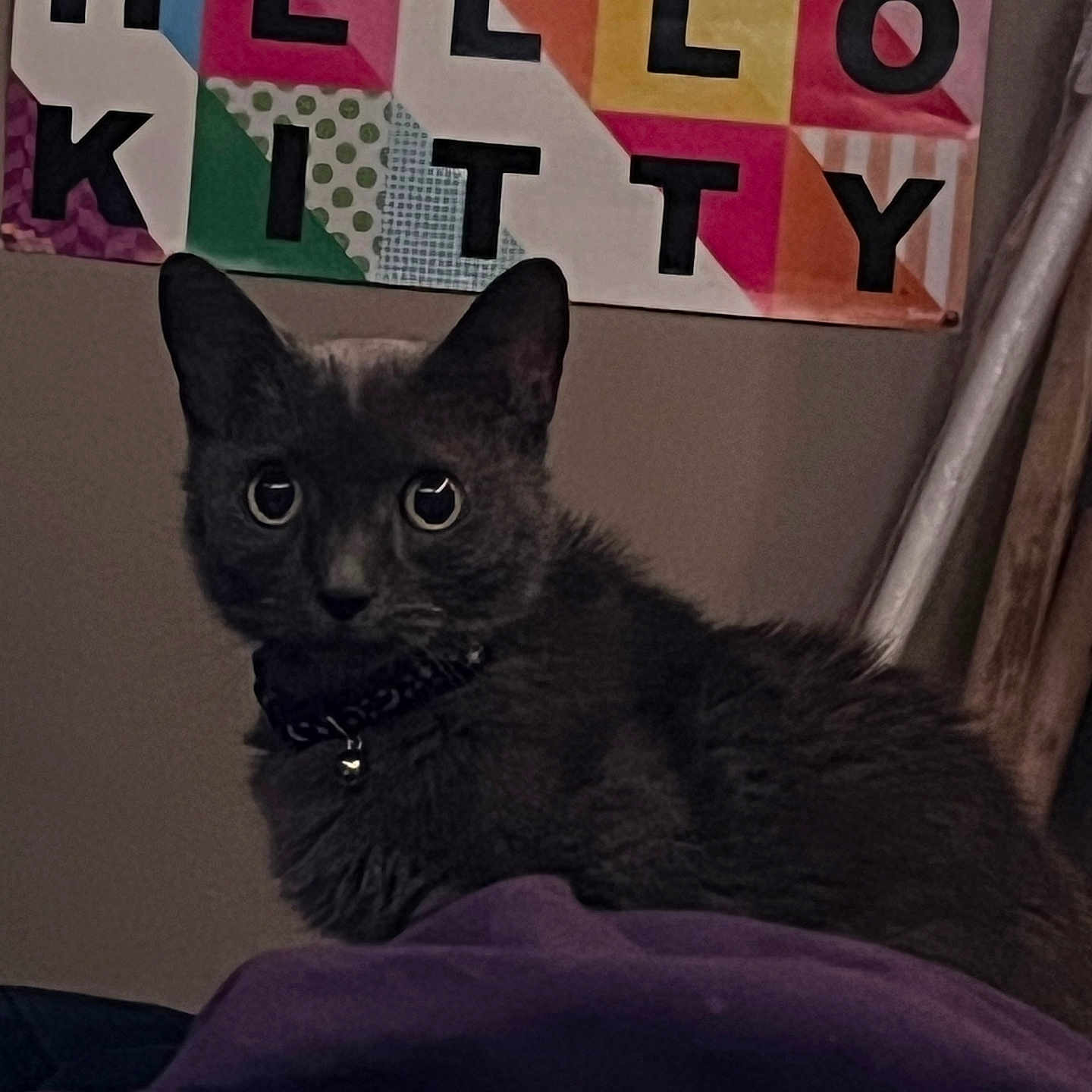 Luna