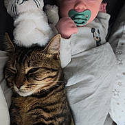 Maël a rejoint le concours — aidez-le/la à gagner de superbes lots ! baby, bed, blanket, cat, closeup, cozy, cute, fur, hand, indoor, infant, nap, pacifier, pet, pillow, plush_bunny, portrait, sleeping, stuffed_animal, tabby_cat