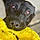 Rallo