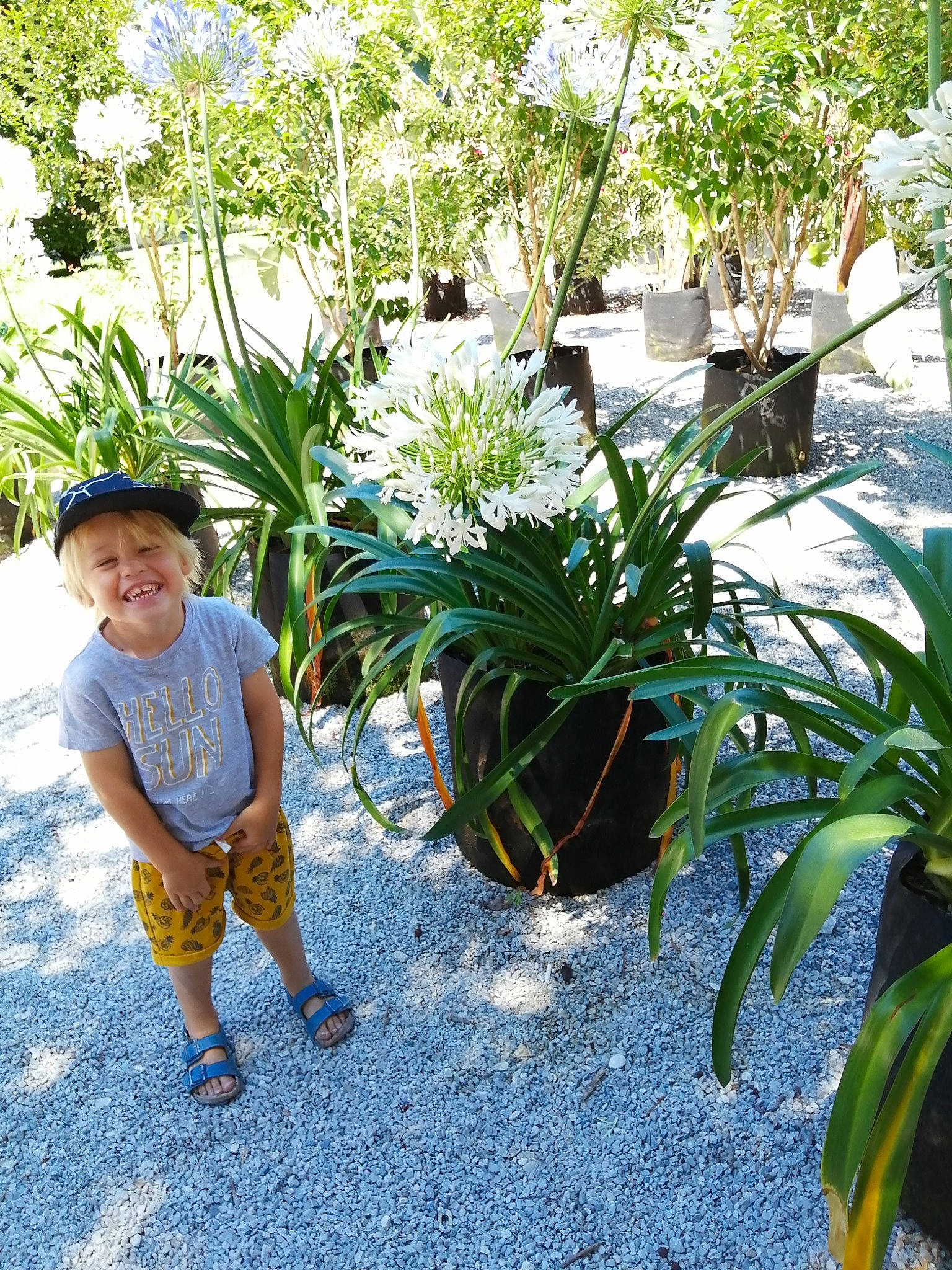 Milo participe au concours pour gagner de l'argent avec cette photo : botanical_garden, botany, fedora, flowering_plant, flowerpot, garden, hat, joy, people_in_nature, perennial_plant, person, sandal, slipper, sun_hat, sweatpant, terrestrial_plant