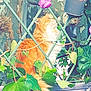 cat, orange_cat, flower, ivy, green_leaves, lattice_fence, plant_pot, outdoor, nature, pet, fluffy, tail, wall, garden, closeup, curious, sitting, feline, colorful, sunlight