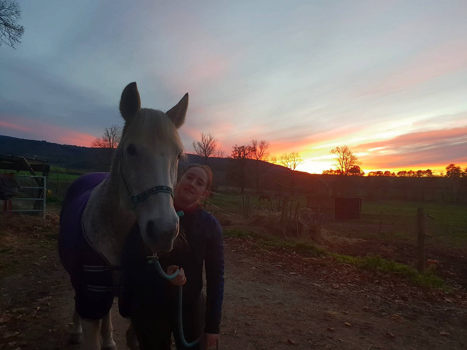 Maya participe au concours pour gagner de l'argent avec cette photo : grassland, horse, landscape, mammal, mane, mare, morning, mustang_horse, pack_animal, pasture, person, rural_area, sky, stallion