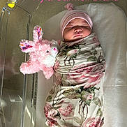 Nyla joined the competition — help win amazing prizes! newborn, baby, swaddled, blanket, floral_pattern, pink_hat, plush_toy, pink_bunny, hospital_bassinet, sleeping, infant, soft_toy, cute, peaceful, indoor, portrait, child, brand_name_text, resting, baby_clothing