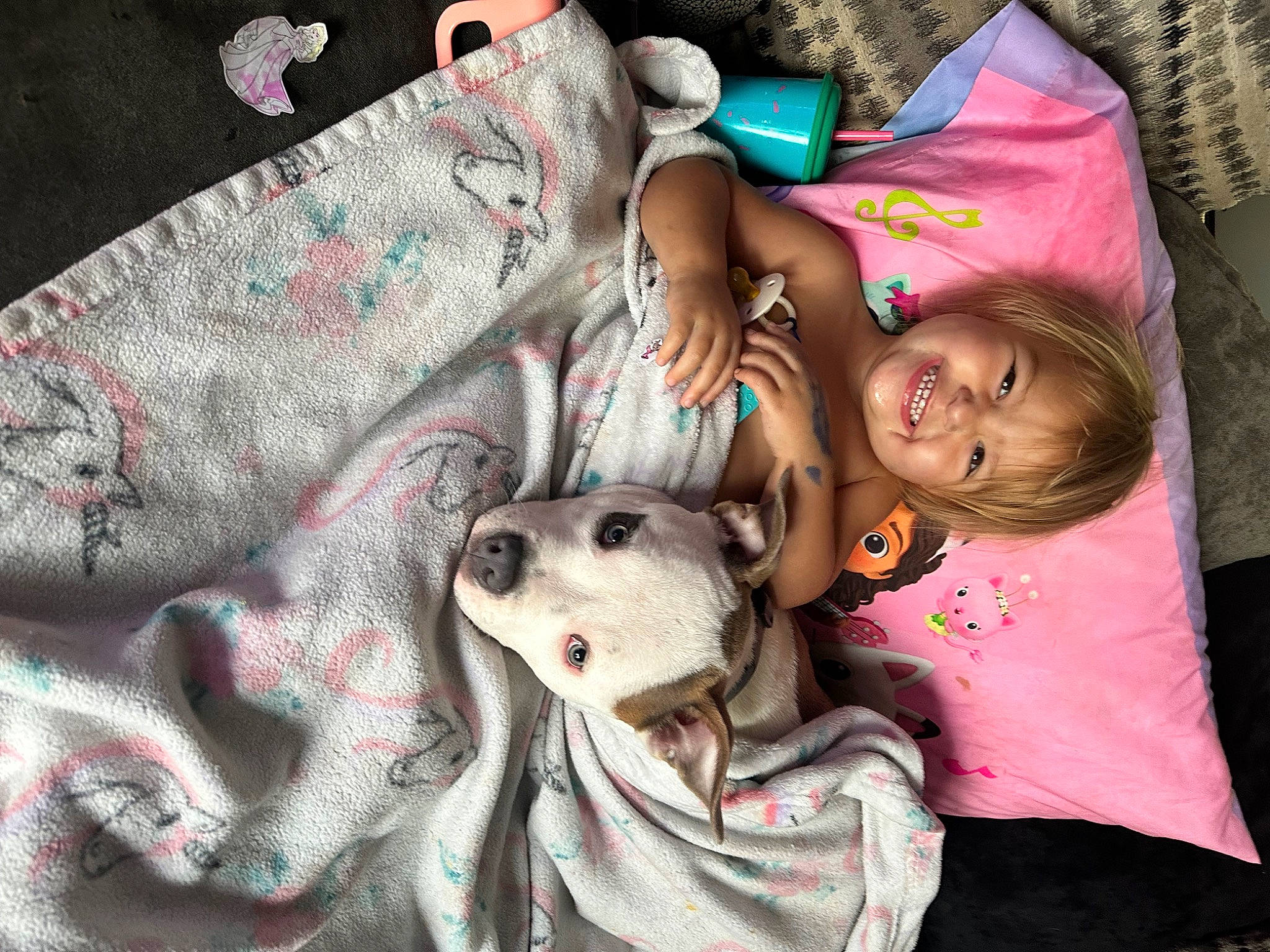 Persephone joined the competition — help win amazing prizes! baby, baby_products, carnivore, child, comfort, companion_dog, dog, dog_breed, fun, happy, joy, linens, mammal, pattern, person, pink, smile, sporting_group, t_shirt, textile