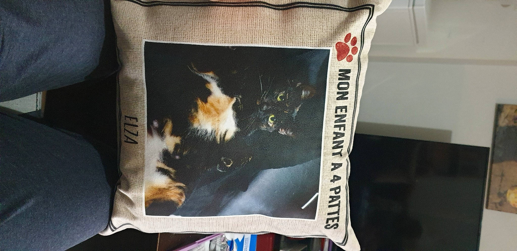 Elza a rejoint le concours — aidez-le/la à gagner de superbes lots ! advertising, art, bag, box, denim, fashion_accessory, felidae, font, fur, illustration, linens, paper, poster, publication, rectangle, room, small_to_medium_sized_cats, tail, visual_arts