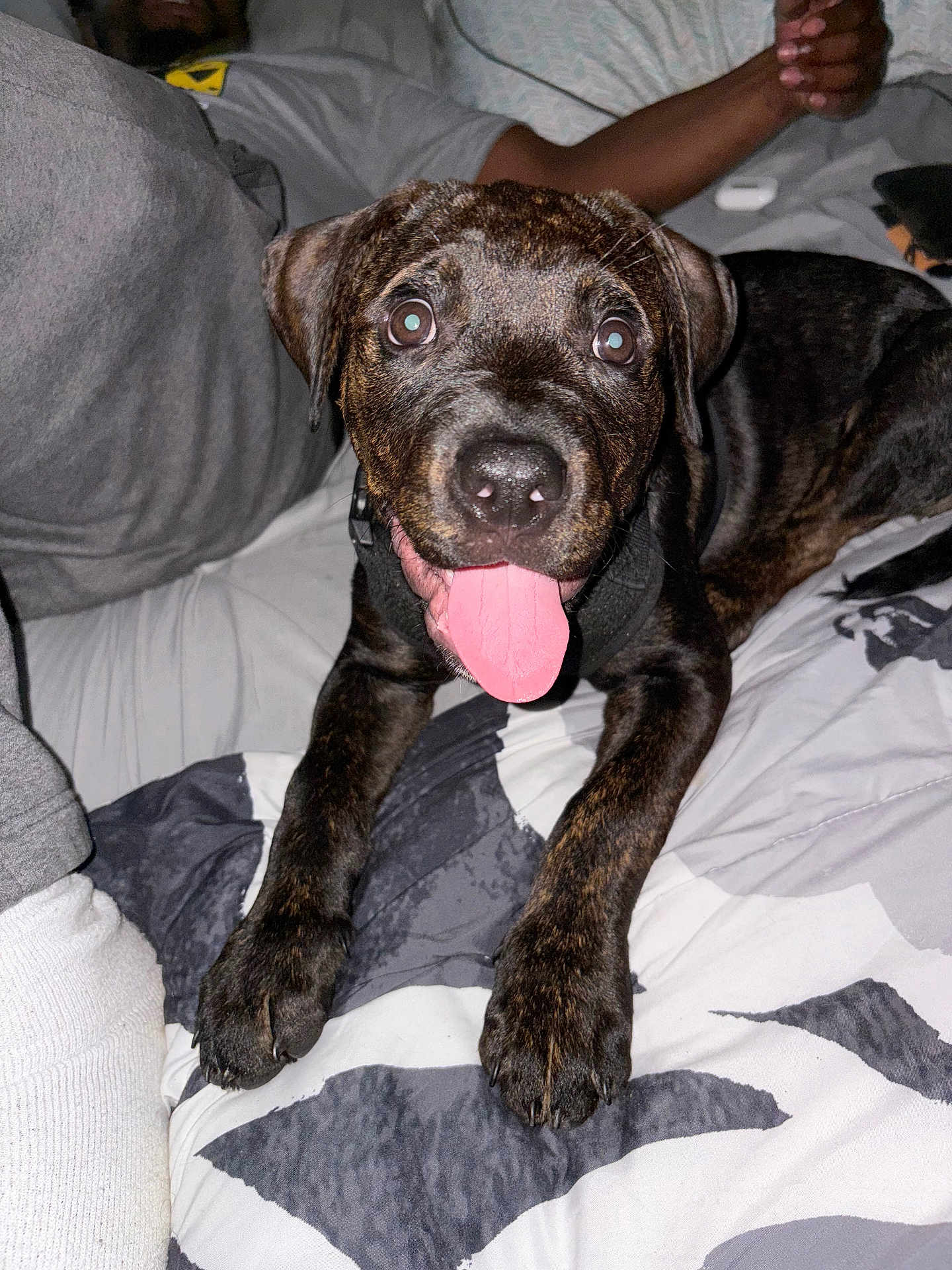 Onyx