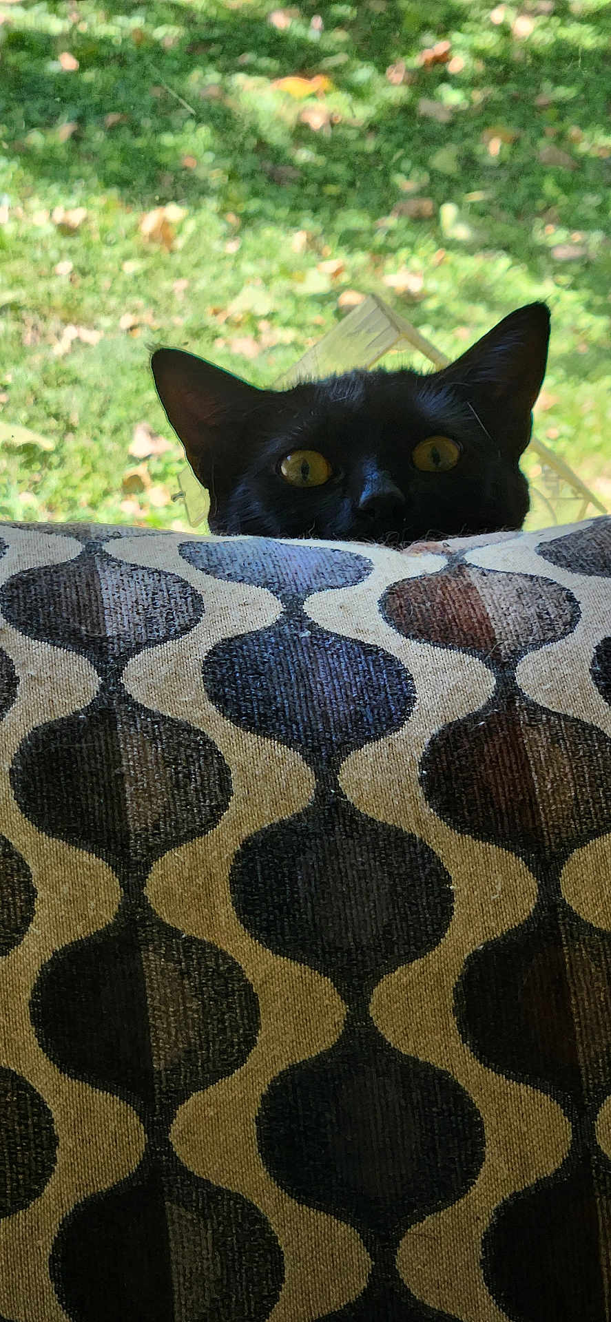 Salem