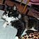Louna