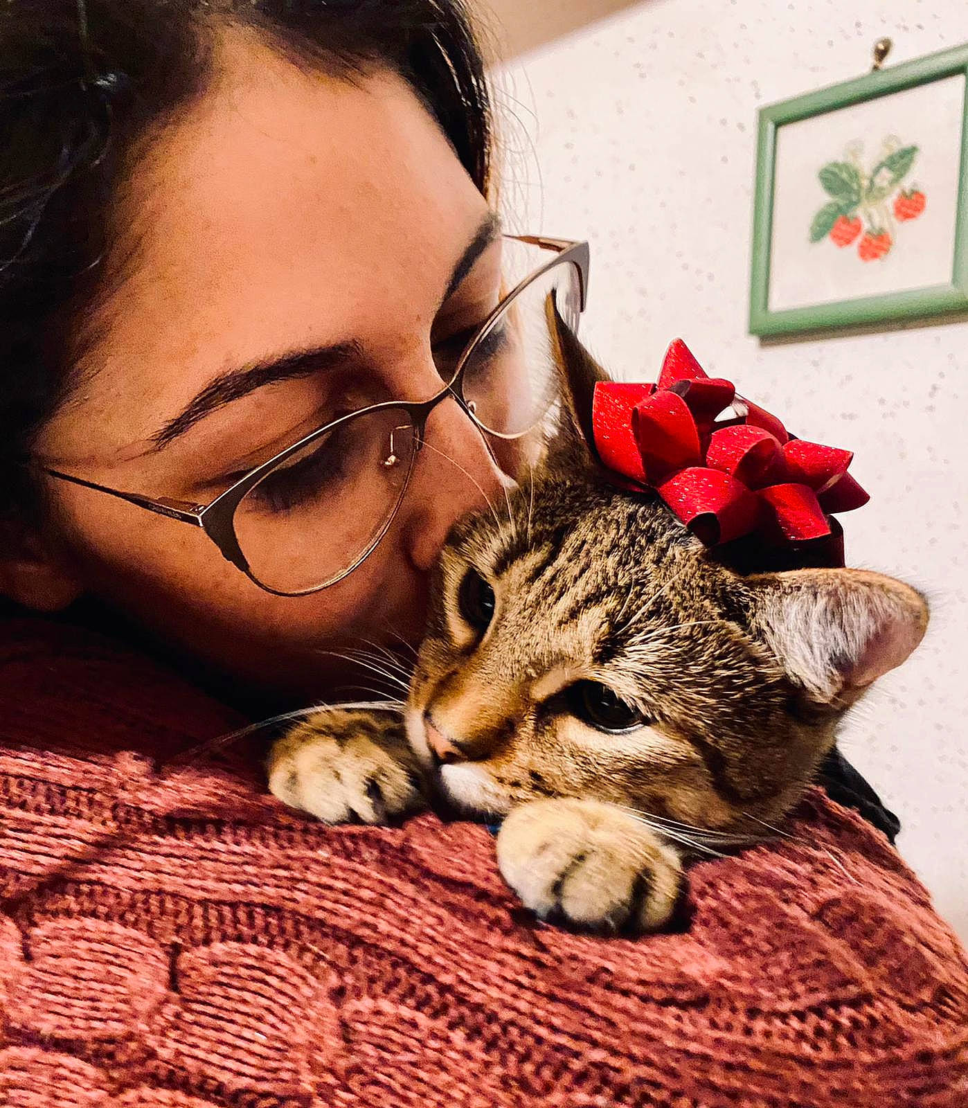 Tigro Pancrazio a rejoint le concours — aidez-le/la à gagner de superbes lots ! carnivore, cat, comfort, domestic_short_haired_cat, ear, eyewear, fawn, felidae, fur, glasses, happy, linens, mammal, paw, picture_frame, small_to_medium_sized_cats, snout, textile, vision_care, whiskers