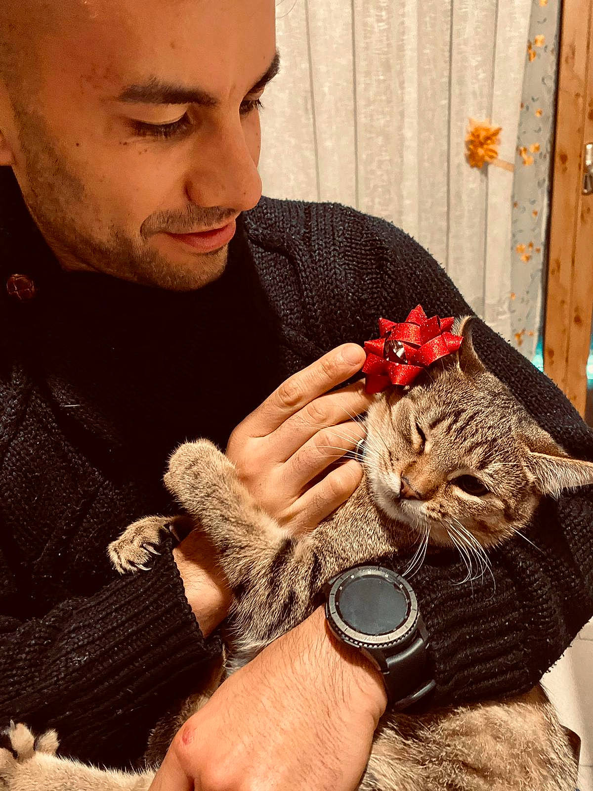 Tigro Pancrazio a rejoint le concours — aidez-le/la à gagner de superbes lots ! analog_watch, beard, bracelet, carnivore, cat, claw, domestic_short_haired_cat, facial_hair, fawn, felidae, finger, fur, gesture, nail, paw, small_to_medium_sized_cats, watch, whiskers, wildlife_biologist, wrist