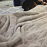 Willow is registered to the contest to win money with this photo: animal, bed, blanket, cabinet, carpet, cat, comfort, cozy, curious, domestic, door, furniture, home, indoor, pet, quiet, relaxing, resting, soft_texture, tabby_cat