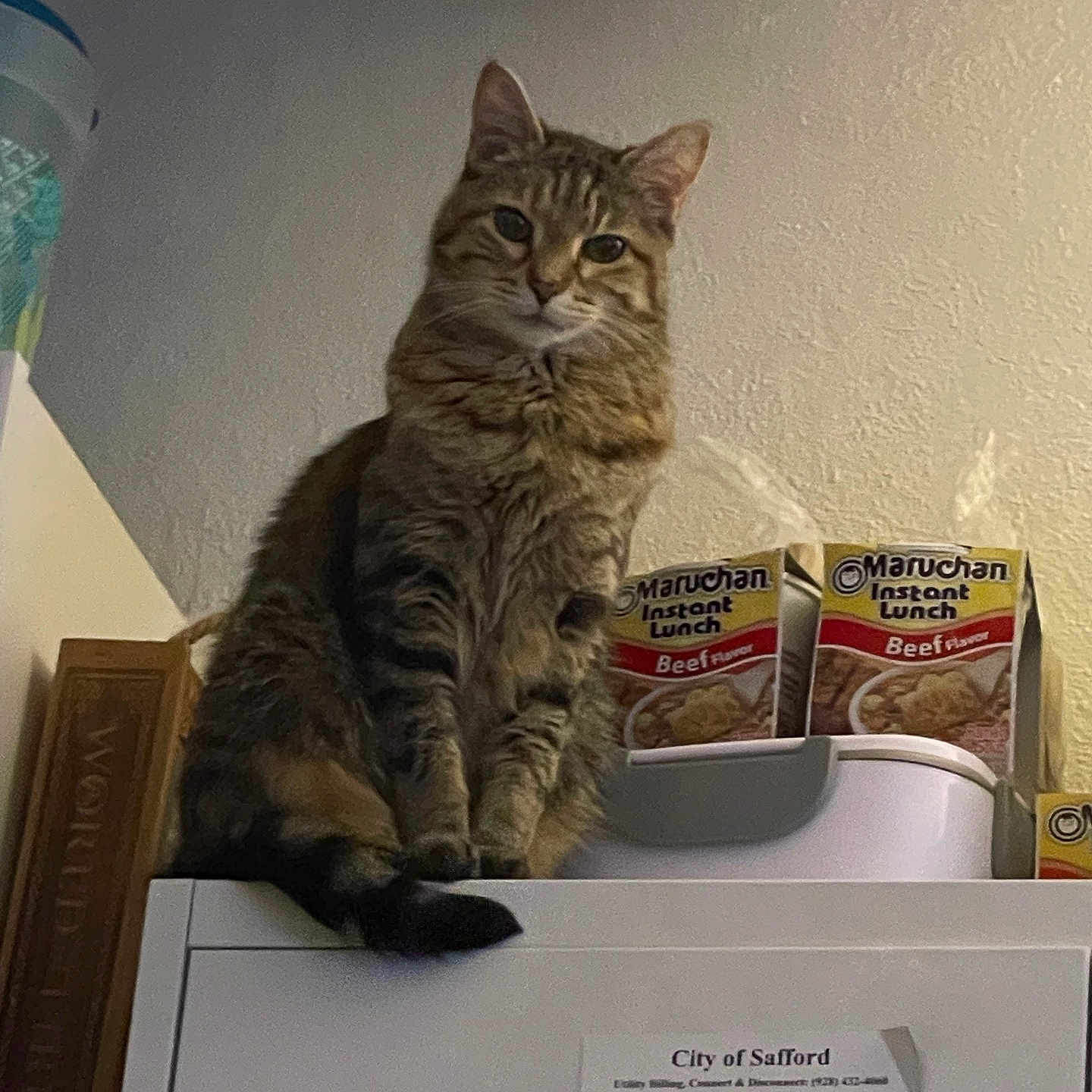 Sophie