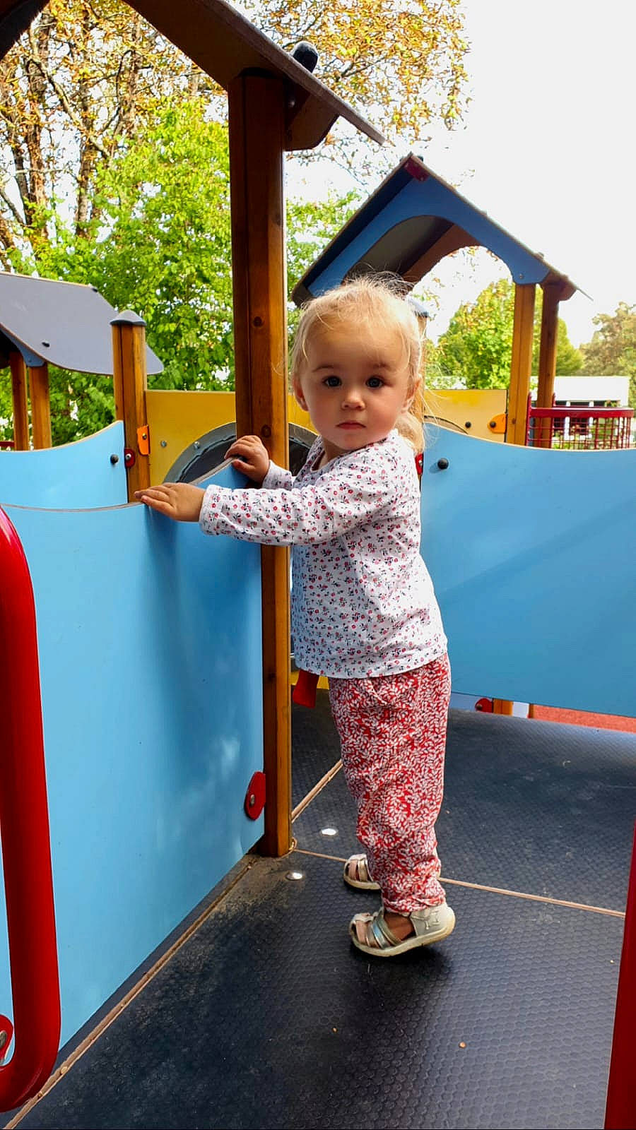 Tyna participe au concours pour gagner de l'argent avec cette photo : child, chute, city, electric_blue, fun, human_settlement, leisure, outdoor_play_equipment, person, play, playground, playground_slide, public_space, recreation, red, sky, standing, t_shirt, toddler, tree
