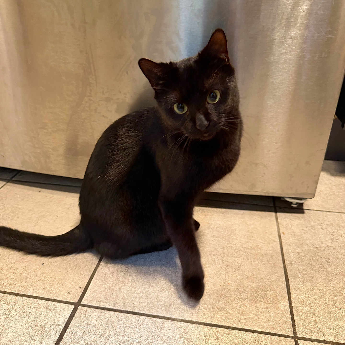 Pepper