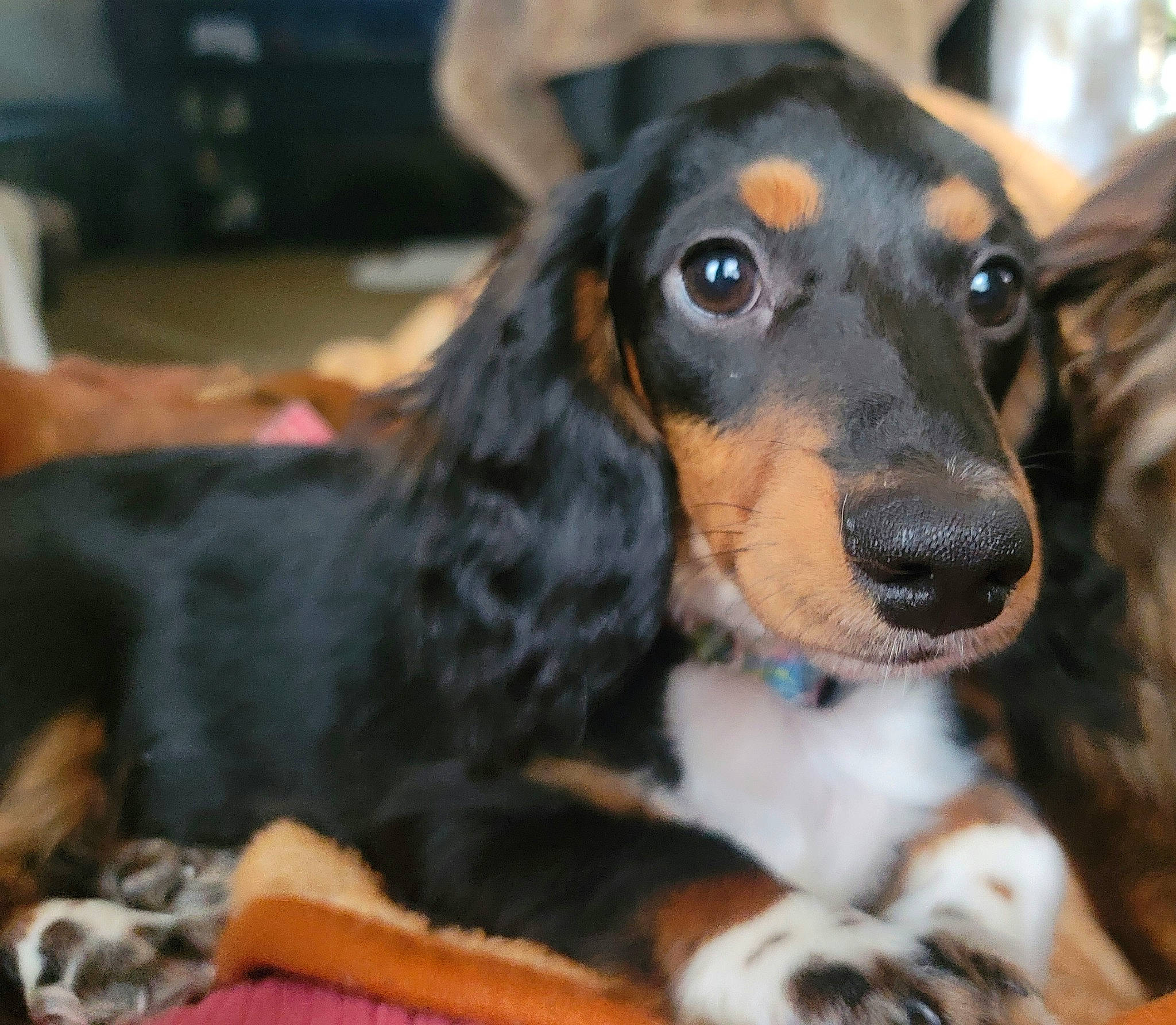 Oscar