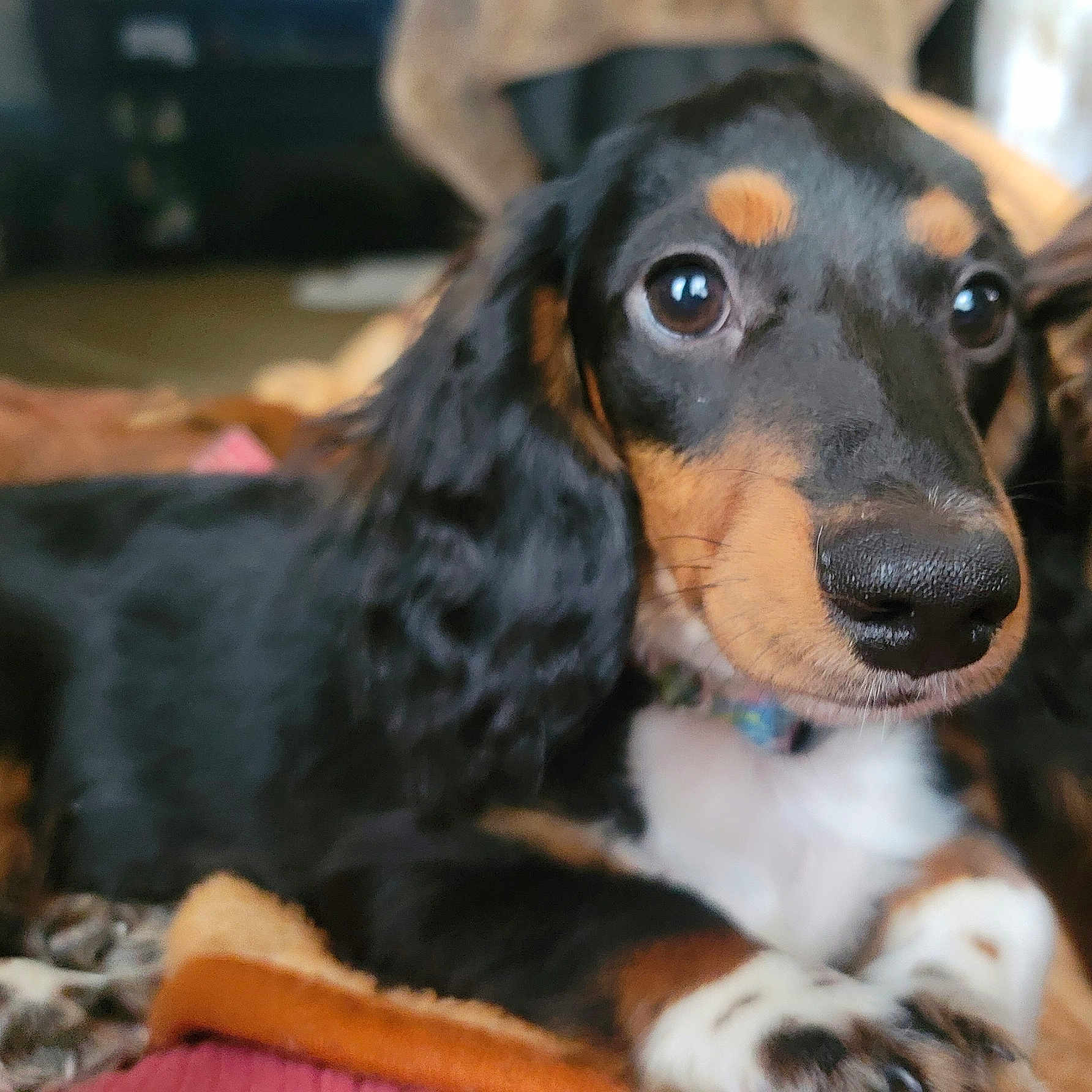 Oscar