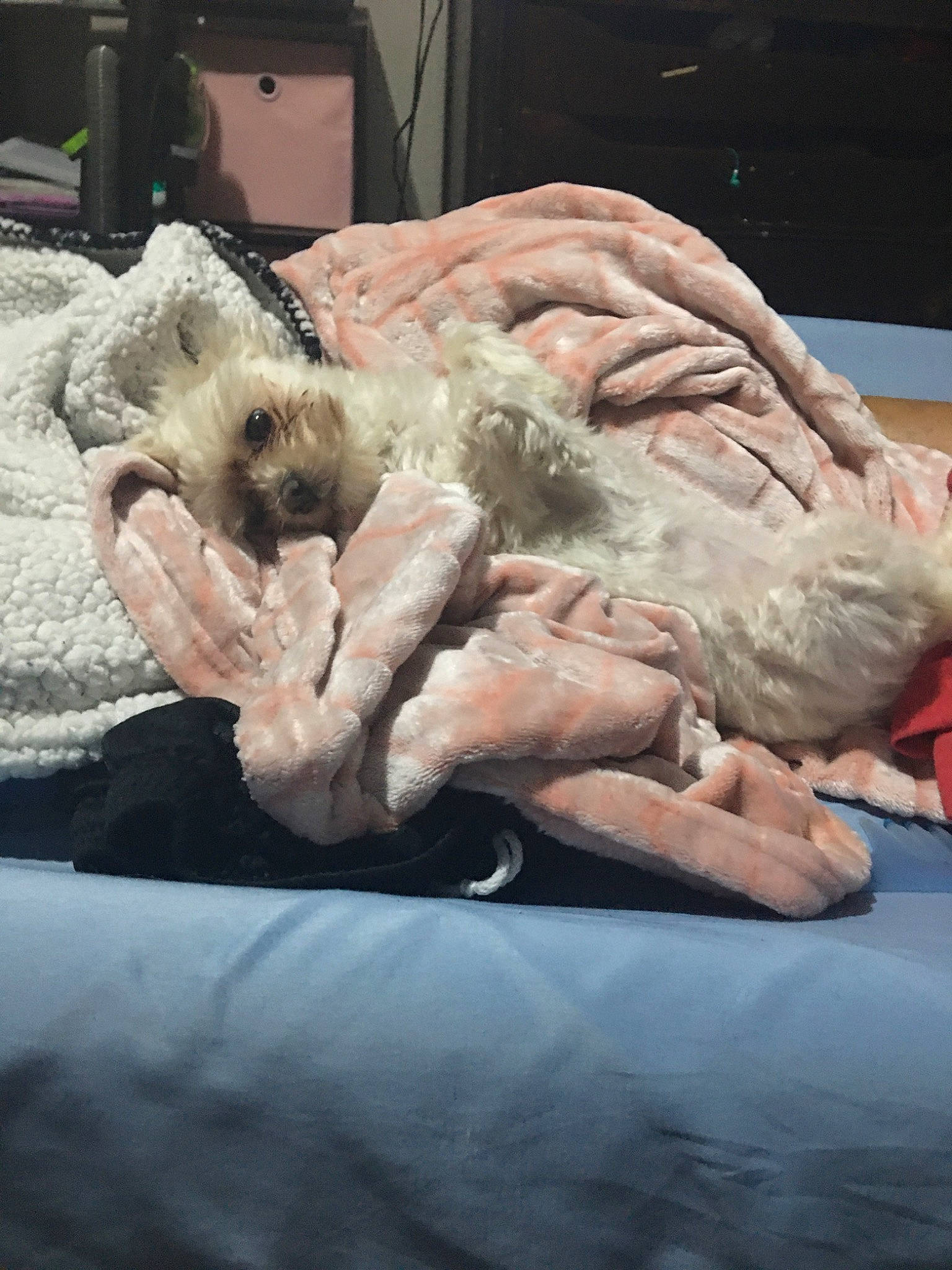 Zoe is registered to the contest to win money with this photo: hand, sporting_group