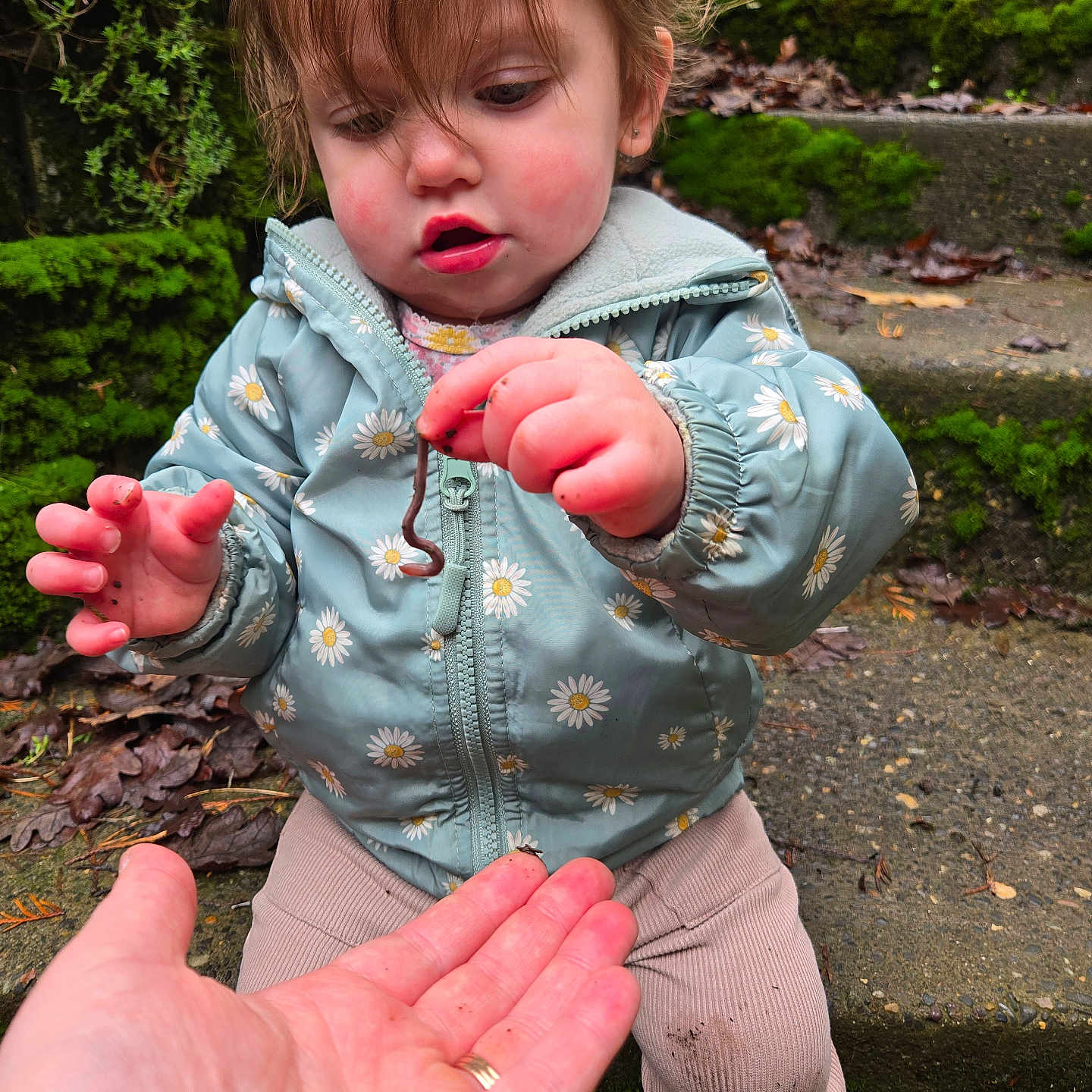 Sophia joined the competition — help win amazing prizes! baby, bodypart, clothing, coat, face, finger, grass, hand, head, hoodie, jacket, knitwear, pants, person, photography, plant, portrait, soil, sweater, sweatshirt