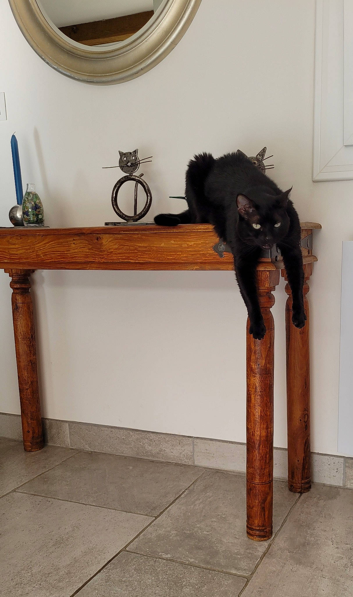 Nikita participe au concours pour gagner de l'argent avec cette photo : felidae, floor, flooring, fur, furniture, grey, hardwood, interior_design, mirror, natural_material, plumbing, property, rectangle, room, shelf, shelving, tail, textile, wood, wood_stain