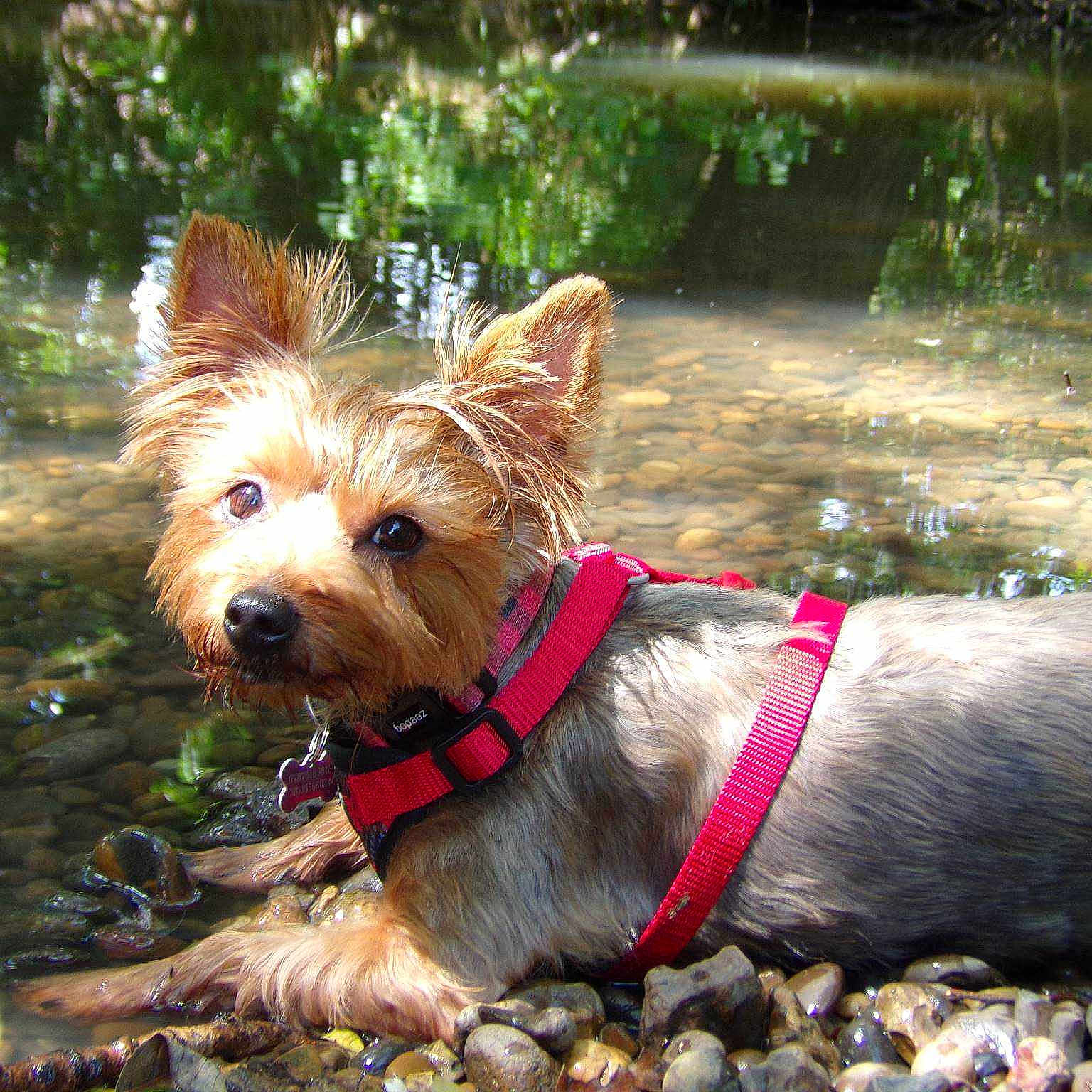 Annie joined the competition — help win amazing prizes!