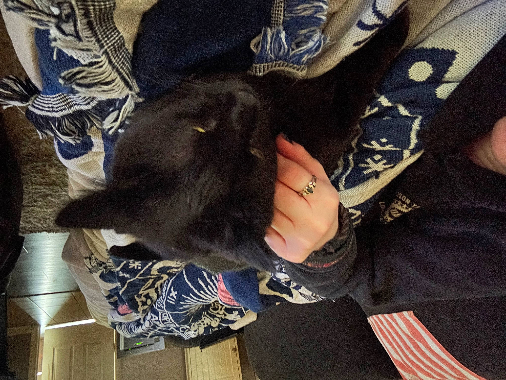 Dean joined the competition — help win amazing prizes! canidae, carnivore, comfort, companion_dog, dog_breed, elbow, felidae, fur, gesture, human_leg, lap, sitting, sleeve, small_to_medium_sized_cats, sporting_group, tail, thigh, tree, whiskers, wrist