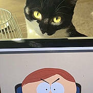 Ayla a rejoint le concours — aidez-le/la à gagner de superbes lots ! cat, black_and_white, yellow_eyes, laptop, cartoon, animated_character, indoor, curious, pet, computer_screen, fur, whiskers, face, closeup, technology, home, table, expression, background, light