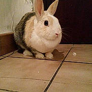 Luna participe au concours pour gagner de l'argent avec cette photo :