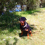 Kenza participe au concours pour gagner de l'argent avec cette photo :