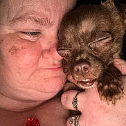 Bean joined the competition — help win amazing prizes! accessories, animal, baby, canine, dog, earring, face, glasses, head, jewelry, necklace, person, pet, photography, portrait, puppy, ring, skin, sleeping, tattoo