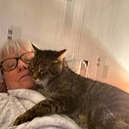 Josy Mahey a rejoint le concours — aidez-le/la à gagner de superbes lots ! blur, casual, cat, closeup, comfort, companion, cozy, furniture, glasses, home, indoor, light, person, pet, portrait, relaxing, resting, robe, tabby_cat, warm