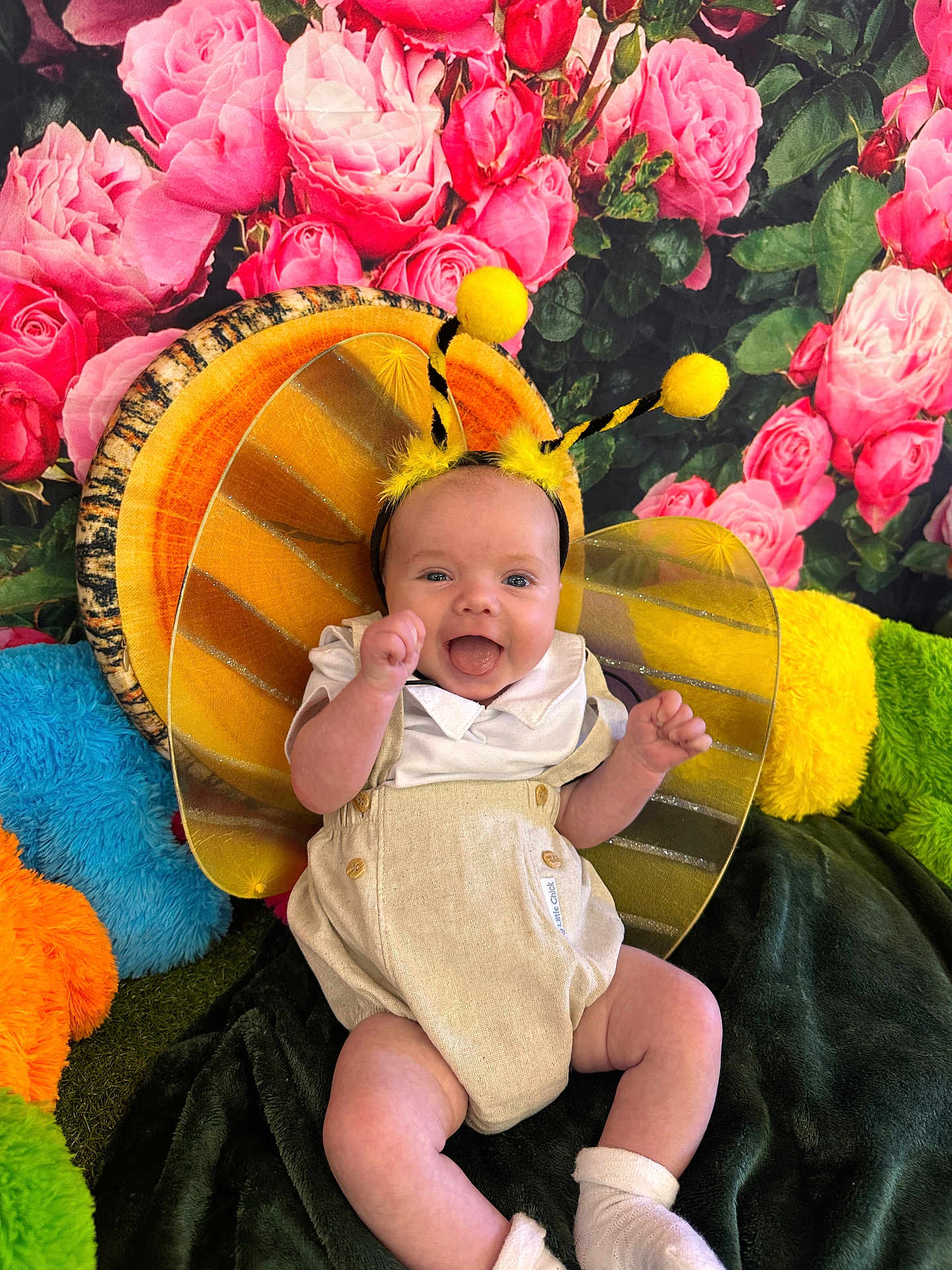 Avery joined the competition — help win amazing prizes! baby, child, costume, bee, antennae, wings, smiling, happy, sitting, flowers, roses, pink, green, plush, cushions, fabric, clothing, cute, indoor, portrait