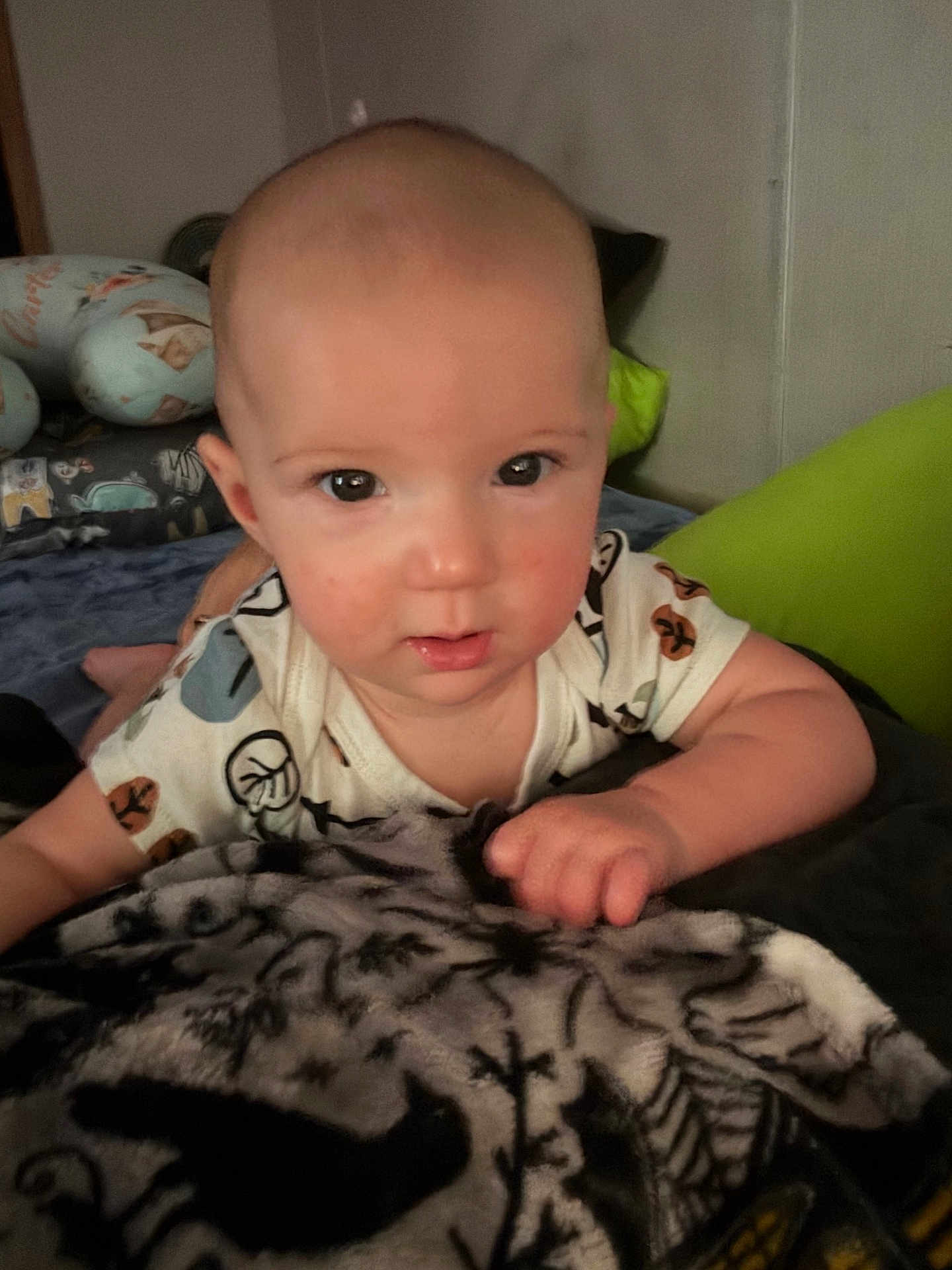 Carter joined the competition — help win amazing prizes! baby, child, face, blanket, pillow, indoor, person, infant, clothing, cute, pattern, hand, resting, soft, bedroom, portrait, young, looking, comfort, cozy