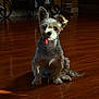dog, small_dog, tongue_out, wooden_floor, sunlight, indoor, pet, fur, ears, sitting, home, cozy, floor_reflection, playful, animal, cute, companion, domestic, portrait, light_and_shadow