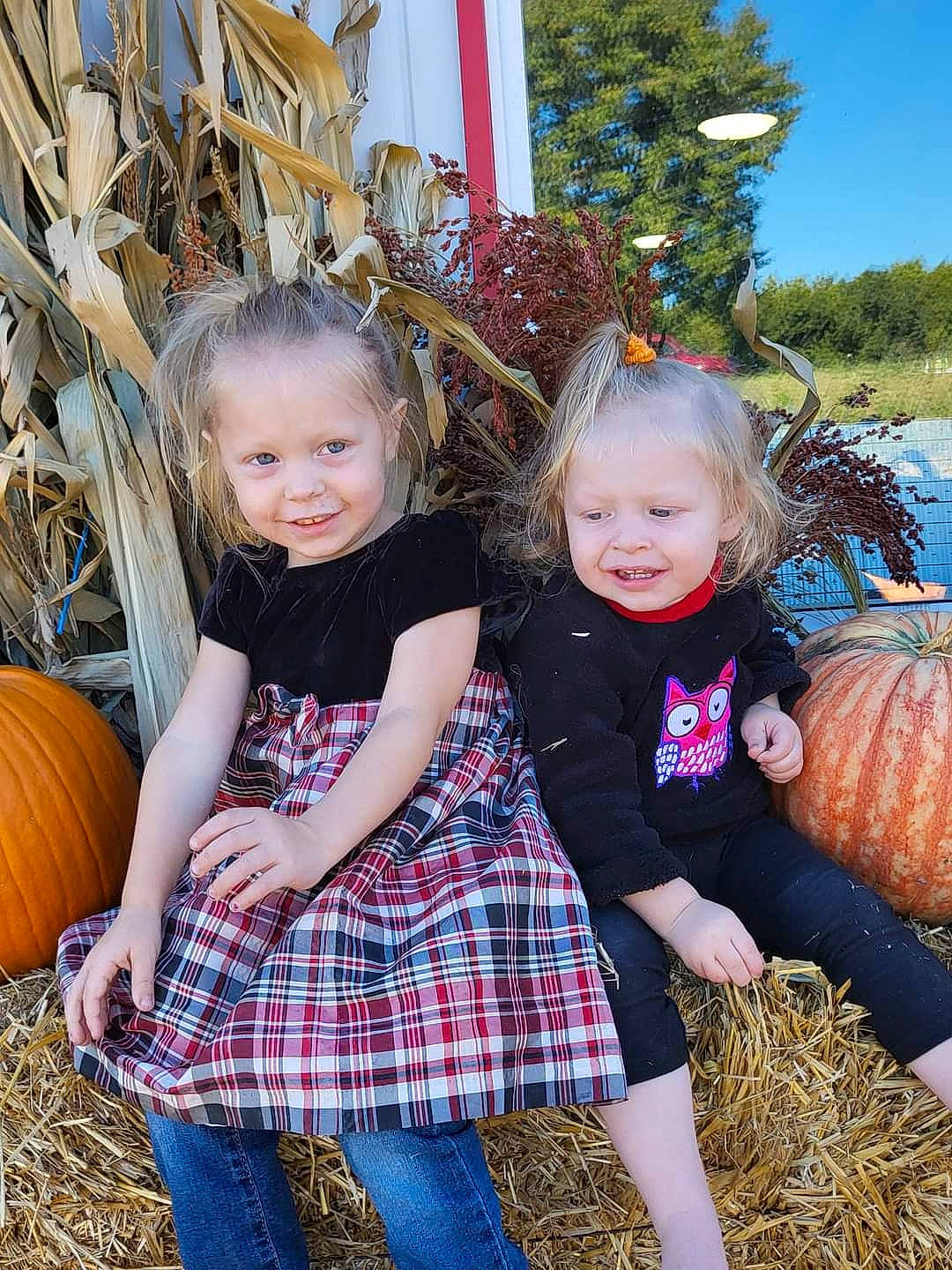 Jazmyn is registered to the contest to win money with this photo: calabaza, cucurbita, facial_expression, gourd, grass, happy, iris, joy, people, people_in_nature, person, photograph, plant, pumpkin, sky, smile, squash, summer, tartan, toddler