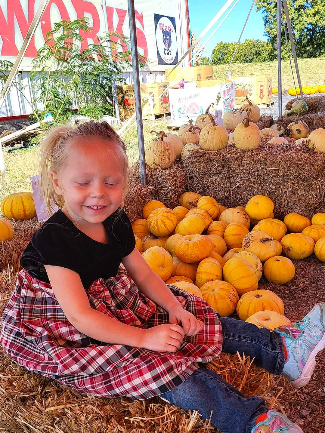 Jazmyn is registered to the contest to win money with this photo: calabaza, coconut, food, fruit, greengrocer, happy, ingredient, joy, local_food, natural_foods, pattern, person, plaid, plant, produce, pumpkin, smile, staple_food, tartan, toddler